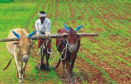 ९८ प्रतिशत कृषक कृषि अनुदानबाट वञ्चित