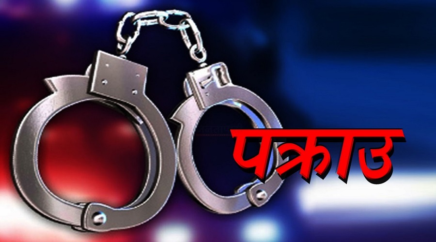 चोरीमा संलग्न रहेको अभियोगमा ९ जना पक्राउ