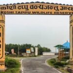 कोशी टप्पुका दुई पोथी गैँडा भालेको खोजीमा