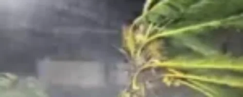 चक्रवात ‘ अनर्ब’पछि आन्ध्र प्रदेश र ओडिशामा सतर्कता